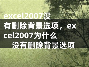 excel2007没有删除背景选项，excel2007为什么没有删除背景选项