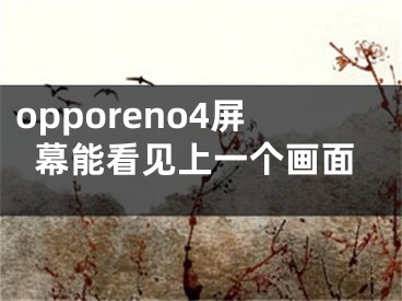opporeno4屏幕能看见上一个画面