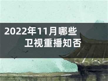 2022年11月哪些卫视重播知否