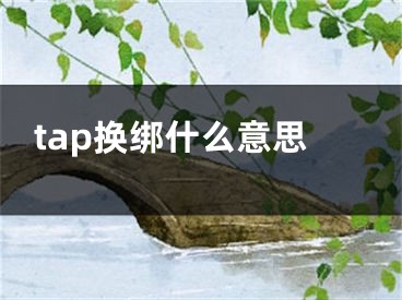 tap换绑什么意思