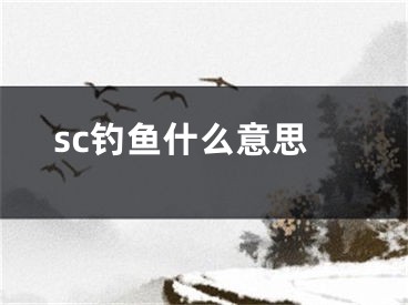 sc钓鱼什么意思