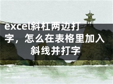 excel斜杠两边打字，怎么在表格里加入斜线并打字