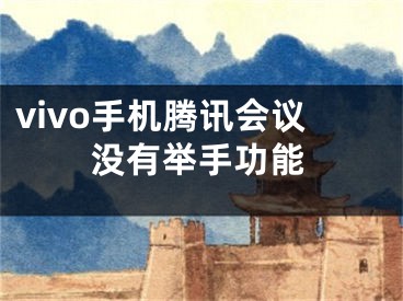 vivo手机腾讯会议没有举手功能