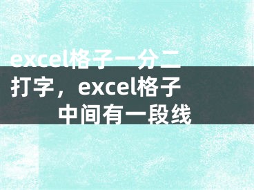 excel格子一分二打字，excel格子中间有一段线