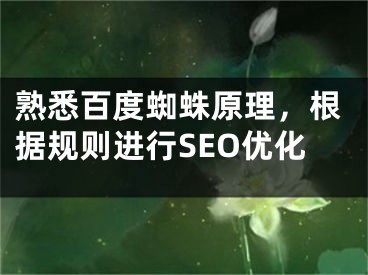 熟悉百度蜘蛛原理，根据规则进行SEO优化