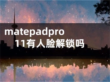 matepadpro11有人脸解锁吗