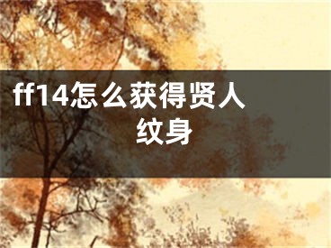 ff14怎么获得贤人纹身