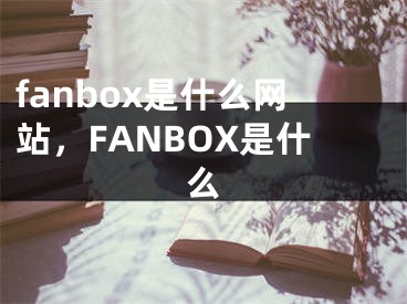 fanbox是什么网站，FANBOX是什么