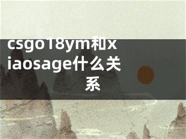 csgo18ym和xiaosage什么关系