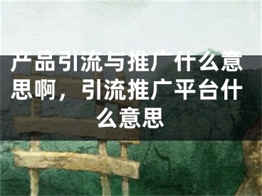 产品引流与推广什么意思啊，引流推广平台什么意思