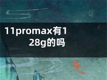 11promax有128g的吗