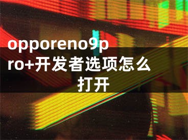 opporeno9pro+开发者选项怎么打开