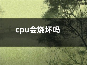 cpu会烧坏吗