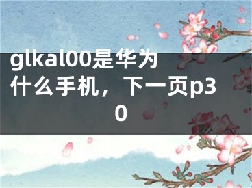 glkal00是华为什么手机，下一页p30