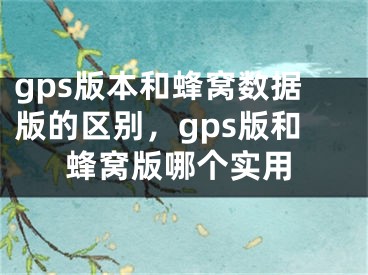 gps版本和蜂窝数据版的区别，gps版和蜂窝版哪个实用