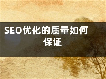 SEO优化的质量如何保证