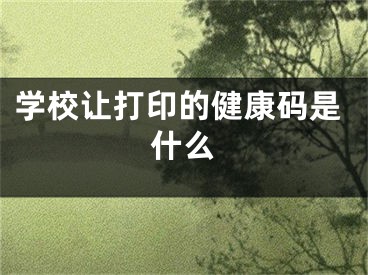 学校让打印的健康码是什么