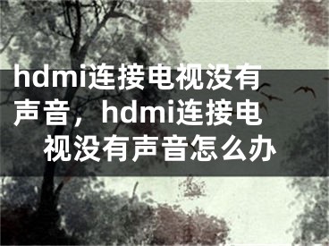 hdmi连接电视没有声音，hdmi连接电视没有声音怎么办