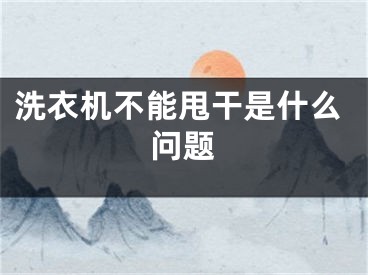 洗衣机不能甩干是什么问题