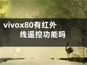 vivox80有红外线遥控功能吗