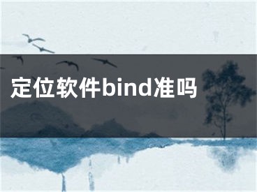 定位软件bind准吗