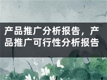 产品推广分析报告，产品推广可行性分析报告