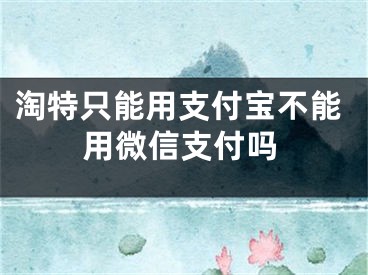 淘特只能用支付宝不能用微信支付吗