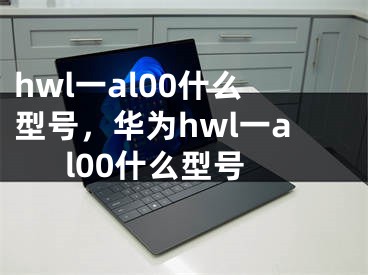 hwl一al00什么型号，华为hwl一al00什么型号