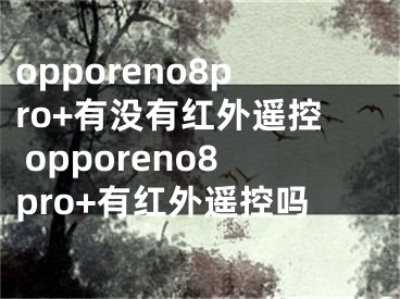 opporeno8pro+有没有红外遥控 opporeno8pro+有红外遥控吗