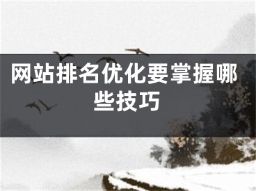 网站排名优化要掌握哪些技巧