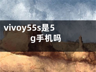 vivoy55s是5g手机吗