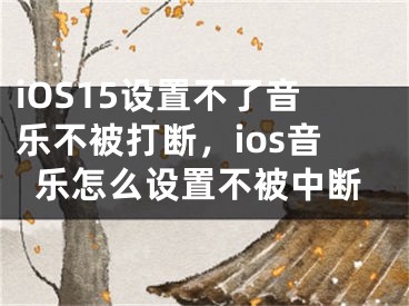 iOS15设置不了音乐不被打断，ios音乐怎么设置不被中断