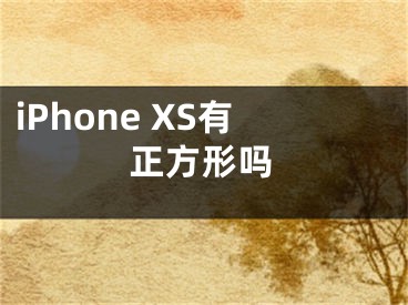 iPhone XS有正方形吗