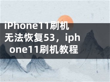 iPhone11刷机无法恢复53，iphone11刷机教程