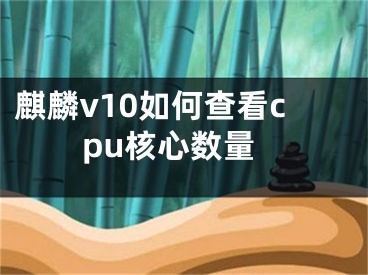 麒麟v10如何查看cpu核心数量