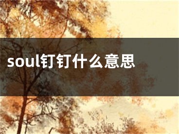 soul钉钉什么意思