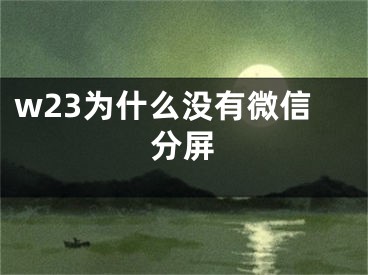 w23为什么没有微信分屏