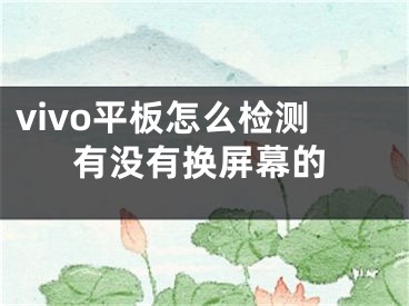 vivo平板怎么检测有没有换屏幕的