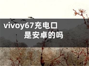 vivoy67充电口是安卓的吗