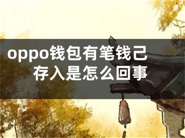 oppo钱包有笔钱己存入是怎么回事