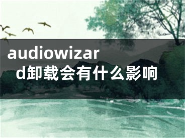audiowizard卸载会有什么影响