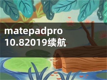 matepadpro10.82019续航