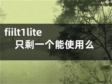 fiilt1lite只剩一个能使用么