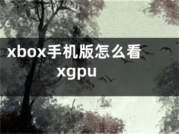 xbox手机版怎么看xgpu
