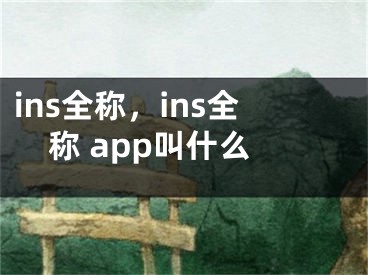 ins全称，ins全称 app叫什么