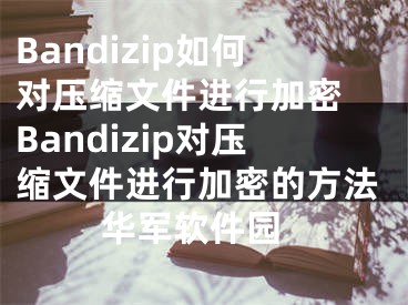 Bandizip如何对压缩文件进行加密 Bandizip对压缩文件进行加密的方法 华军软件园