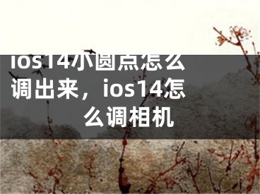 ios14小圆点怎么调出来，ios14怎么调相机