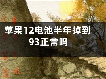 苹果12电池半年掉到93正常吗