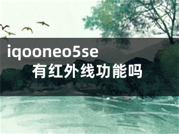 iqooneo5se有红外线功能吗