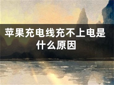 苹果充电线充不上电是什么原因 